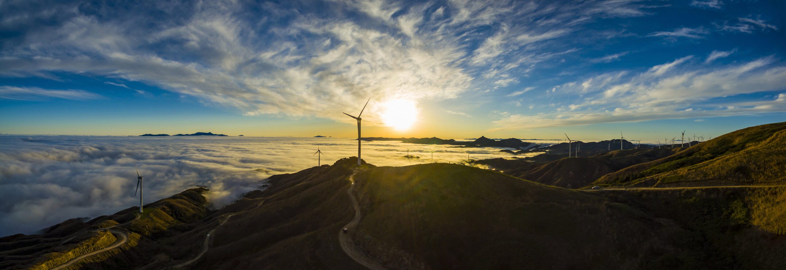 Environmental Initiatives